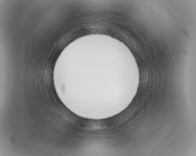 X0000115160757200912081408