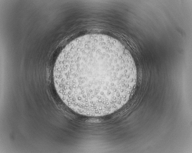 X0000115160759200912081408