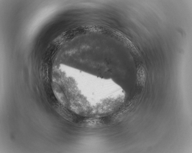 X0000115160762200912081408