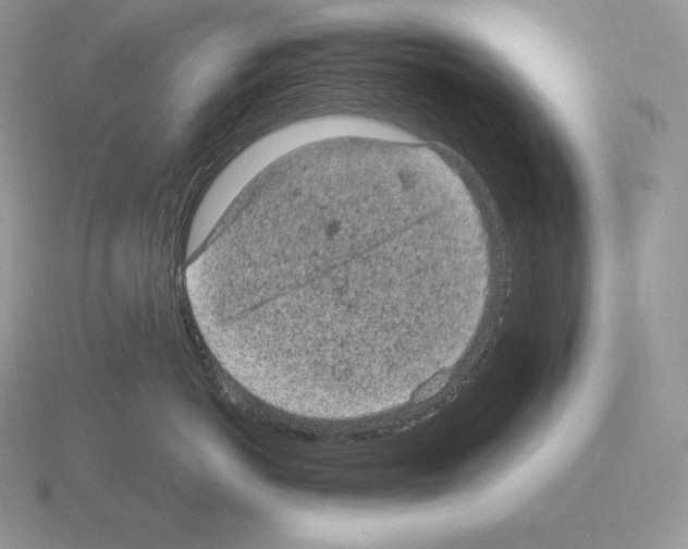 X0000115160766200912081408