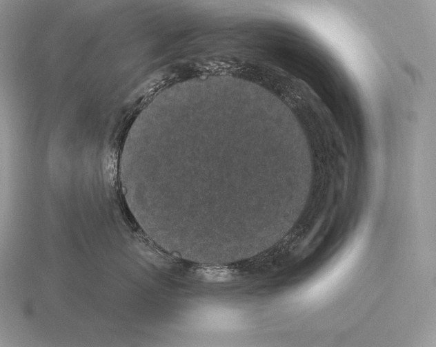 X0000115160767200912081408