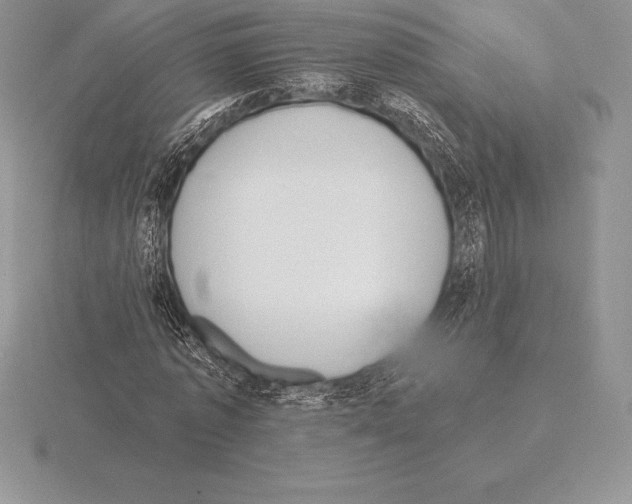 X0000115160773200912081407