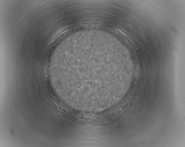 X0000115160774200912081407