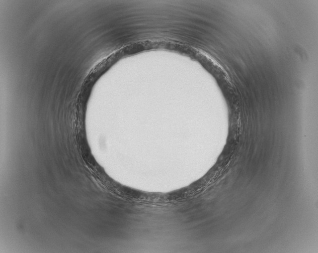 X0000115160775200912081407