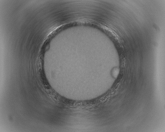 X0000115160776200912081407