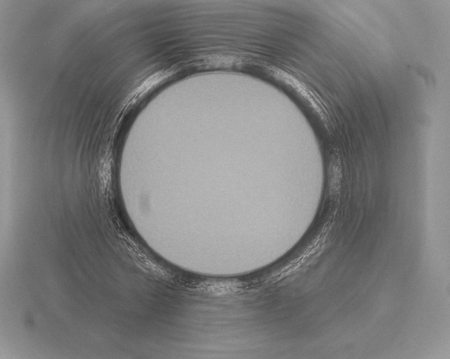 X0000115160778200912081407