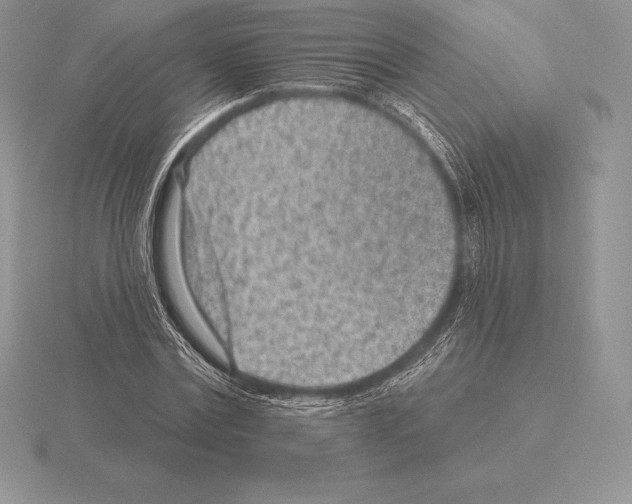 X0000115160779200912081407