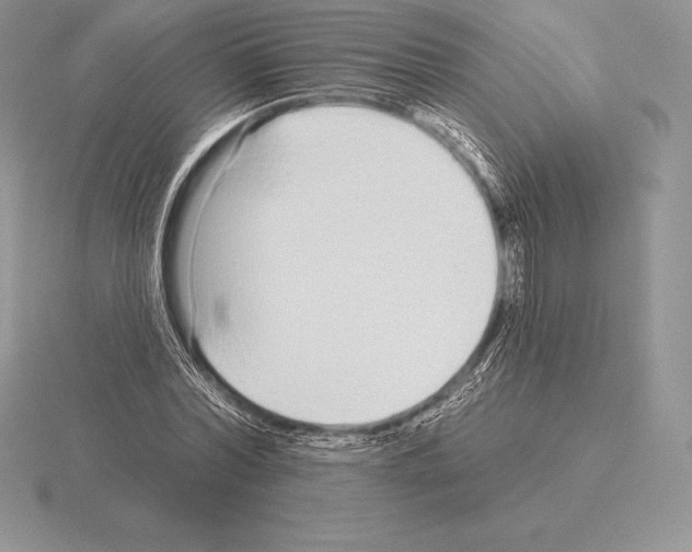 X0000115160780200912081407