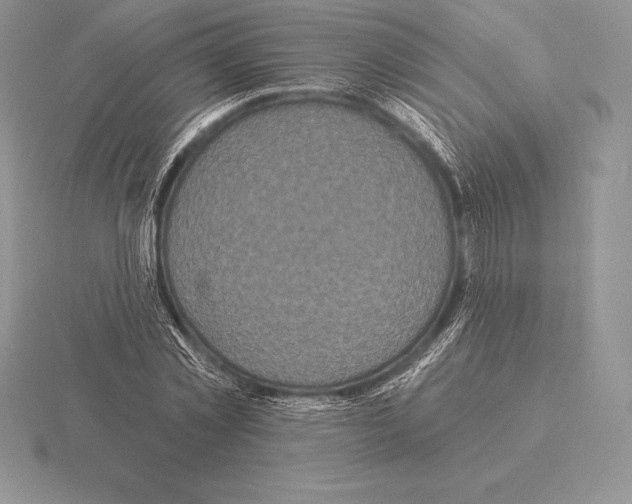 X0000115160781200912081407