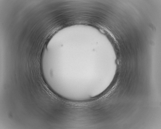 X0000115160785200912081407