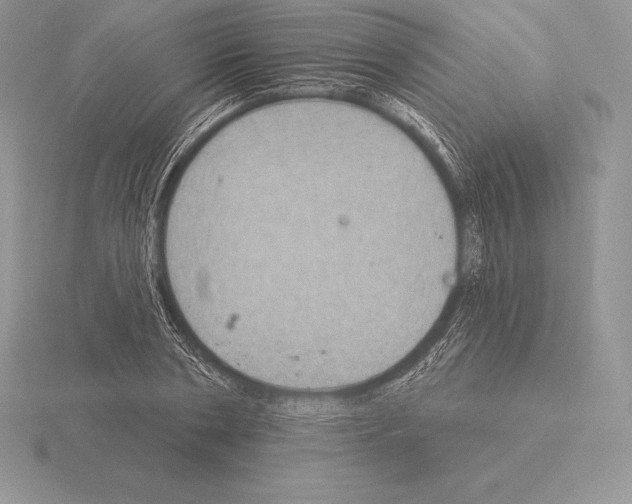 X0000115160786200912081407