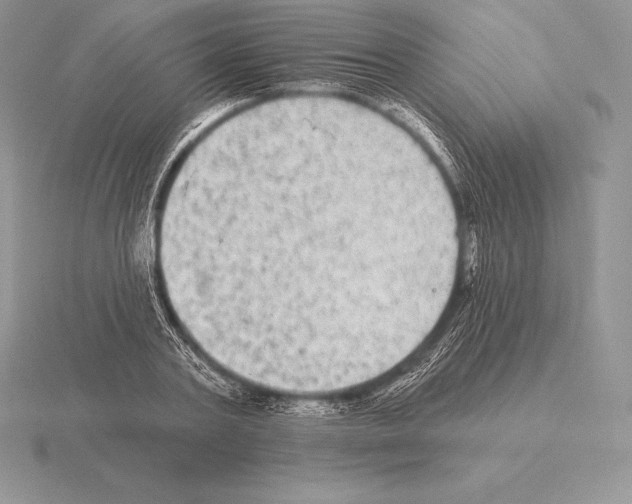 X0000115160787200912081407