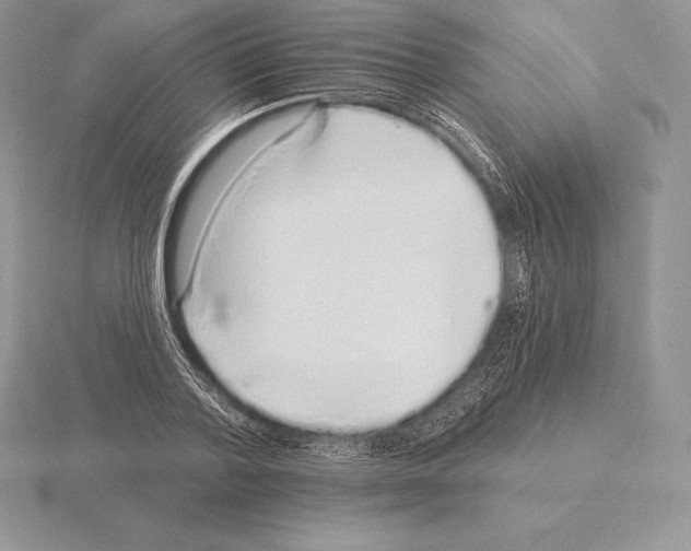 X0000115160788200912081407