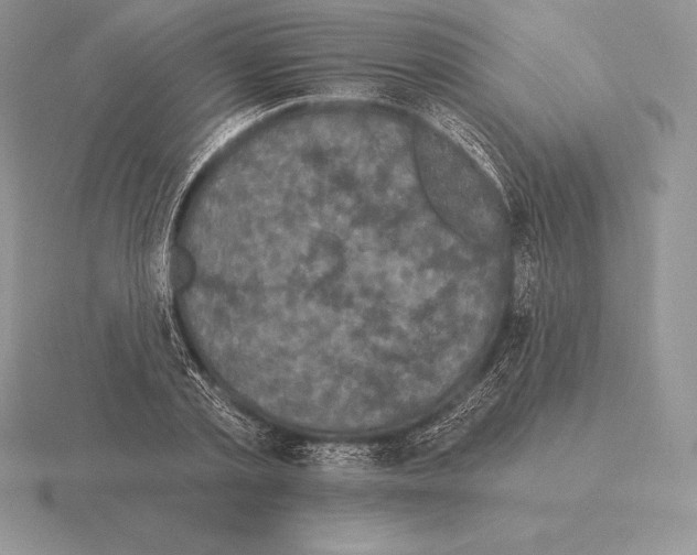 X0000115160789200912081407