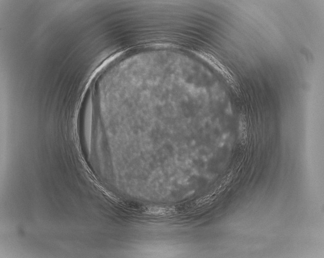 X0000115160790200912081407