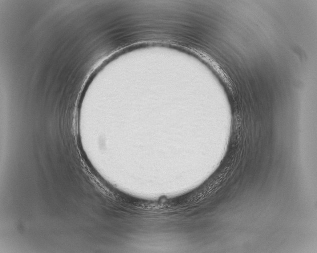 X0000115160791200912081407