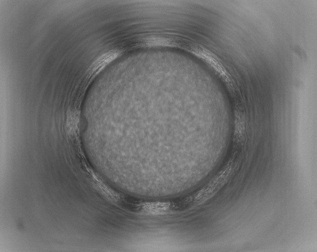 X0000115160793200912081407