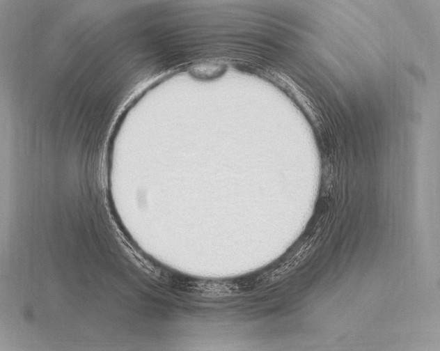 X0000115160795200912081407