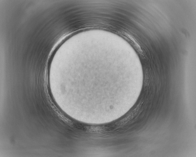 X0000115160796200912081407