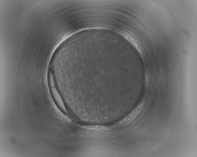 X0000115160797200912081407