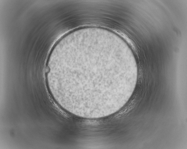 X0000115160799200912081407