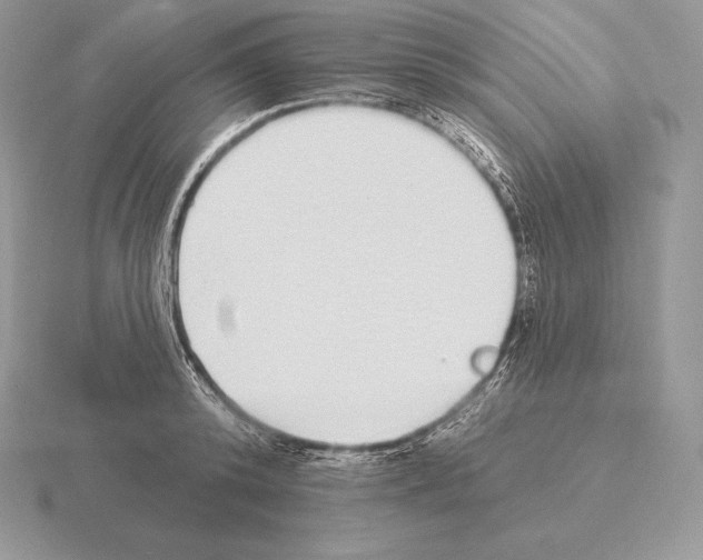 X0000115160800200912081407