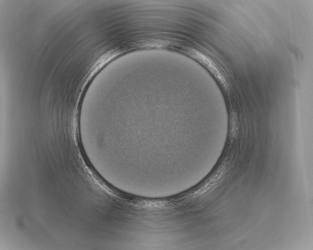 X0000115160802200912081407