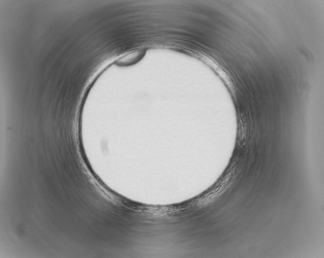 X0000115160803200912081407