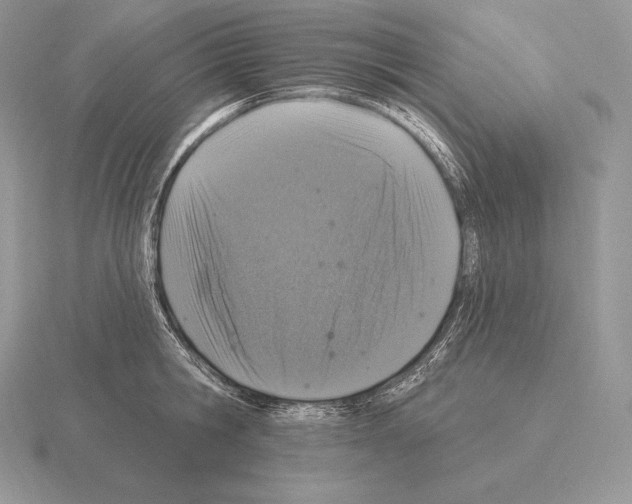 X0000115160806200912081407