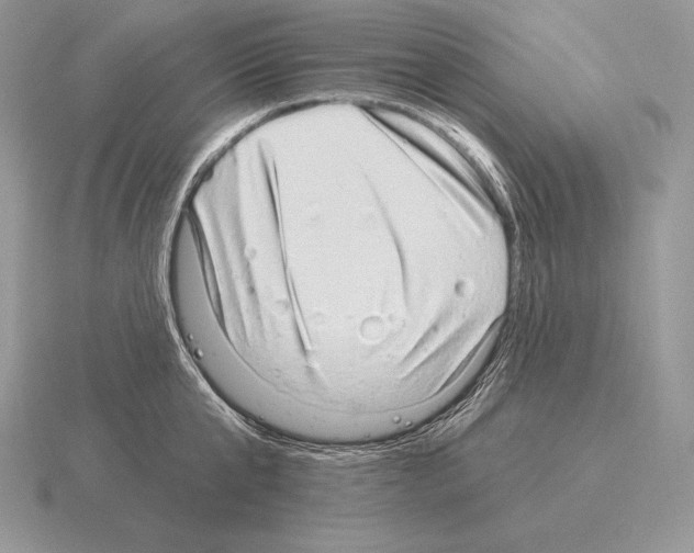 X0000115160807200912081407