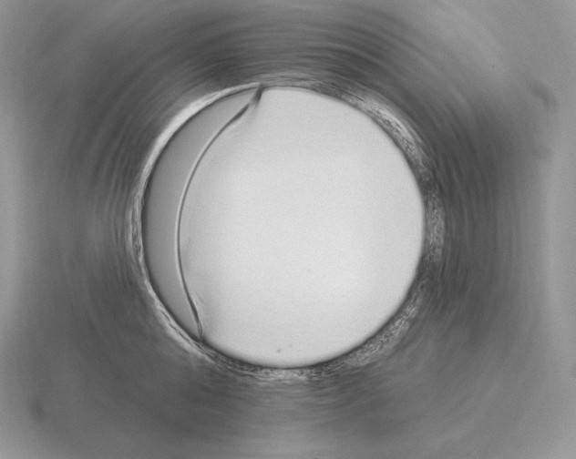 X0000115160808200912081407