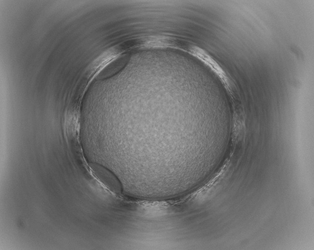 X0000115160809200912081407