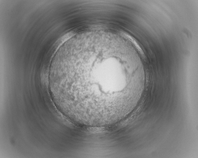 X0000115160810200912081407