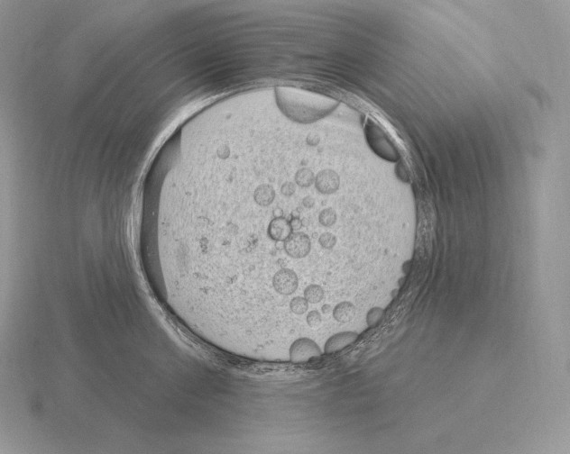 X0000115160811200912081407