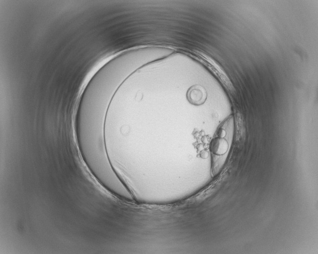 X0000115160812200912081407