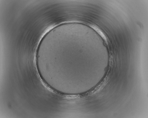 X0000115160813200912081407