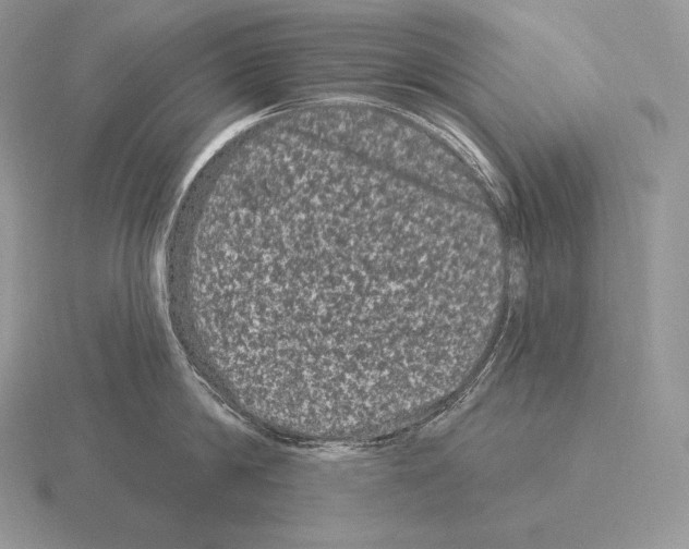 X0000115160814200912081407