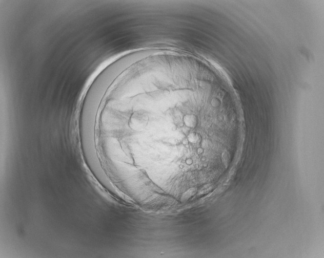 X0000115160816200912081407