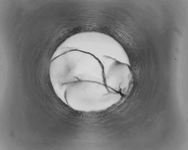 X0000115160817200912081406