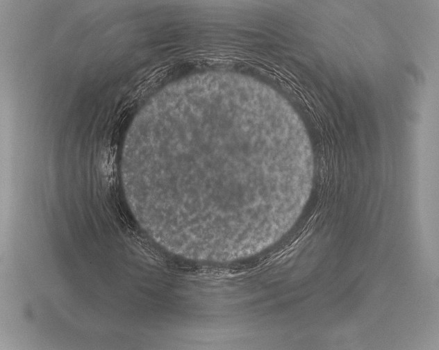 X0000115160818200912081406