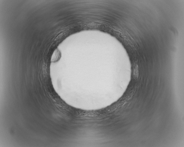 X0000115160819200912081406