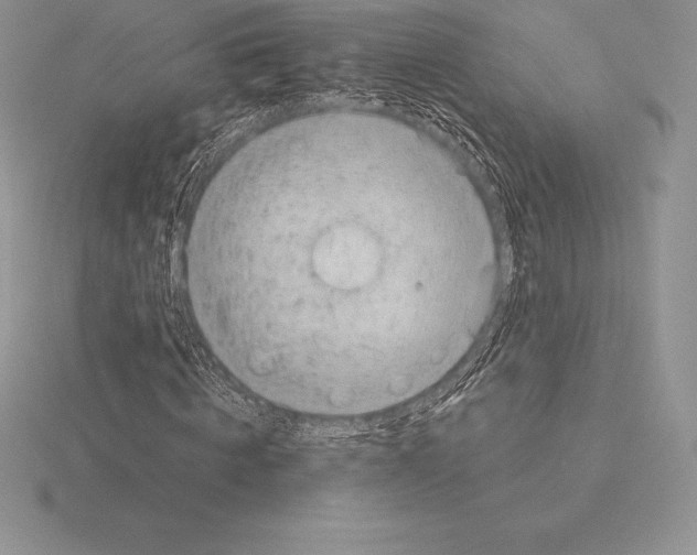 X0000115160820200912081406