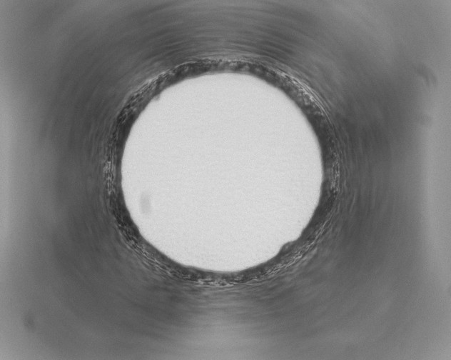 X0000115160821200912081406