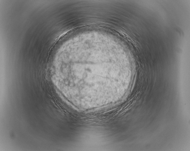 X0000115160822200912081406