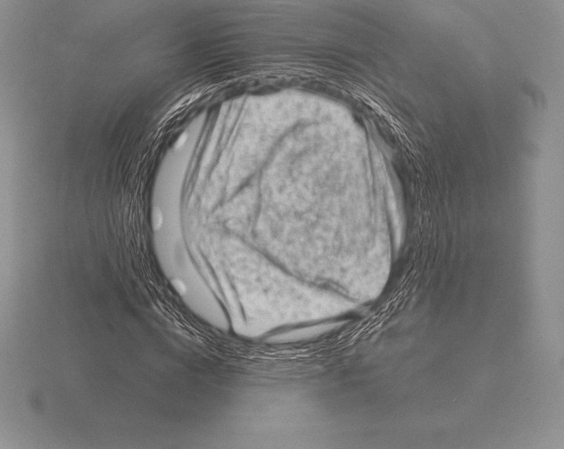 X0000115160824200912081406