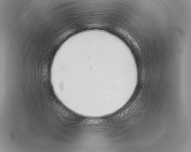 X0000115160825200912081406