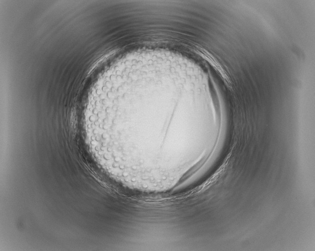 X0000115160826200912081406