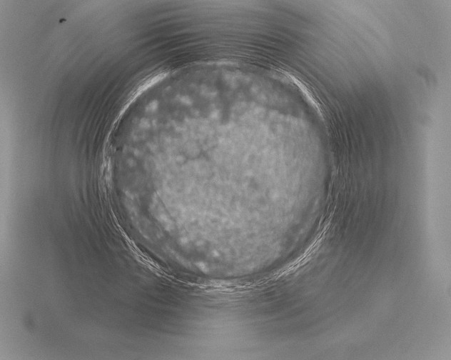 X0000115160827200912081406