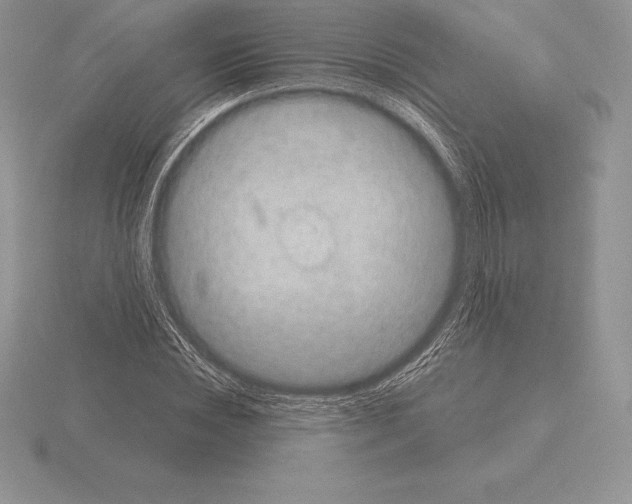 X0000115160828200912081406