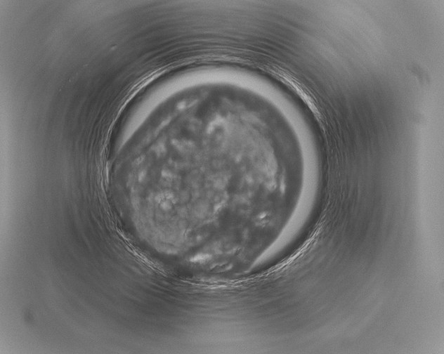 X0000115160829200912081406